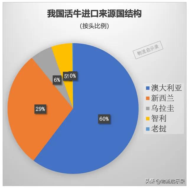 老挝的牛大规模进军，价格暴涨还是暴跌？真相揭秘！