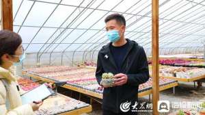 山东多肉植物养殖基地(好品山东丨一盆巴掌大的多肉能卖5万元，济南这个村的多肉种植凭啥这么牛？)