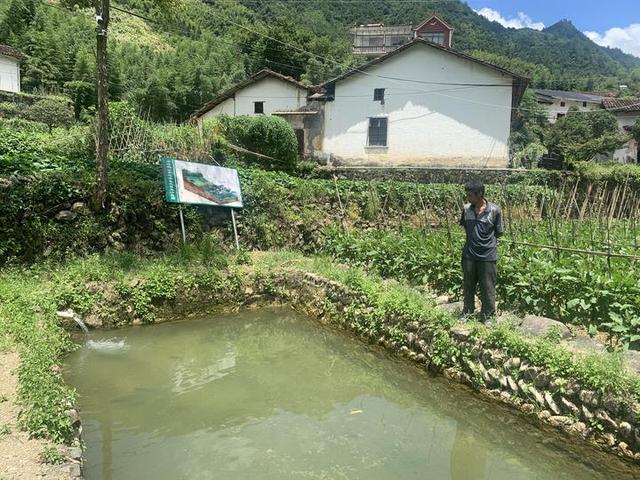 流动山泉水养殖清水鱼，想想就很美味！可村民为啥接连失败？没技术