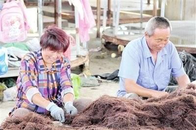 海上种菜？这个可以有，就叫龙须菜，来自荣成