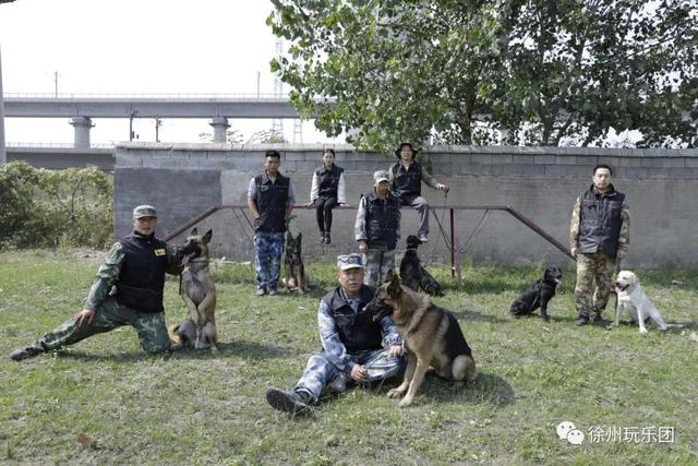 萌狗都开始上“辅导班”了！徐州这个狗狗“辅导班”每周日免费上