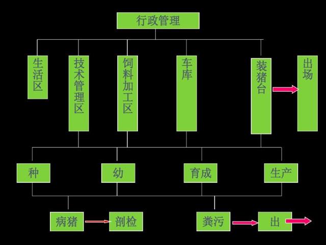 新建养猪场怎样选好场地以及合理布局？一篇文章让您少走弯路