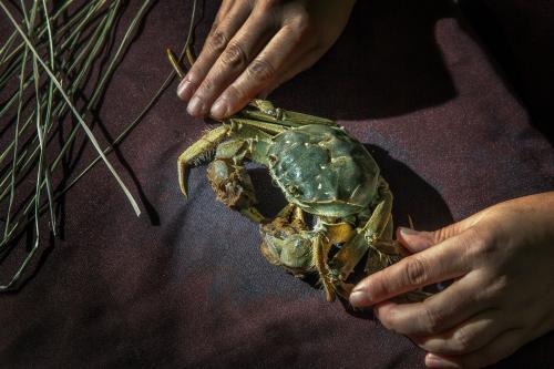 你只知道阳澄湖大闸蟹？固城湖螃蟹了解一下！