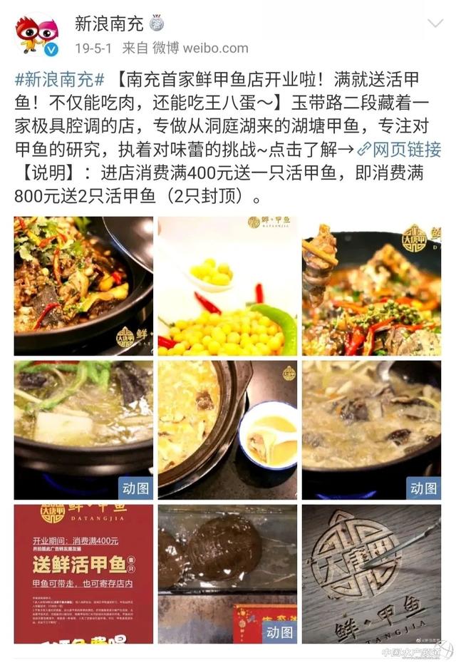 今天，我为甲鱼正名