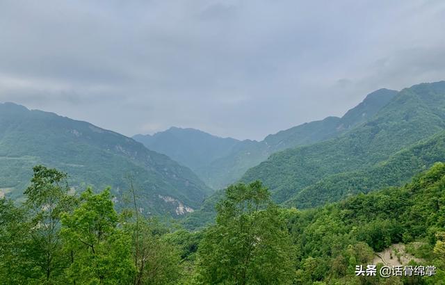 北川黄金树村丨念好“山水经”催开“致富花”