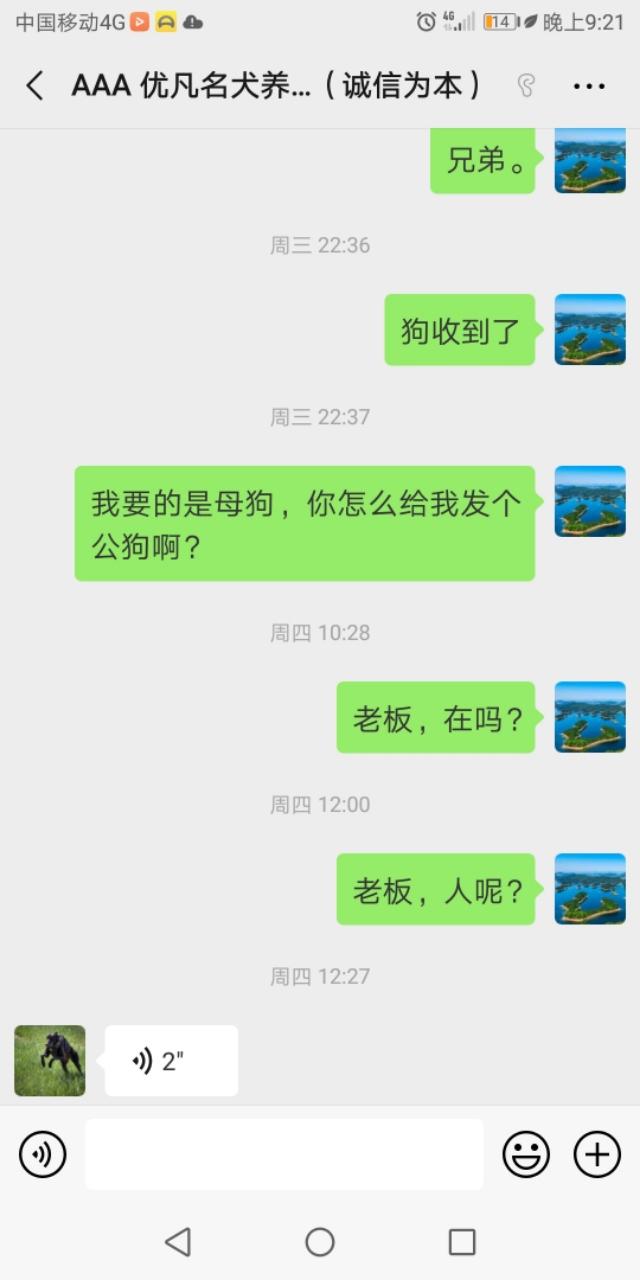 头条的宠物狗广告让我知道了什么叫诚信为本