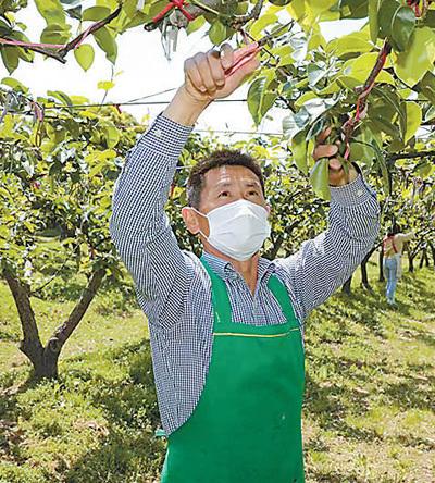 人民日报丨江苏昆山：新型职业农民成长记