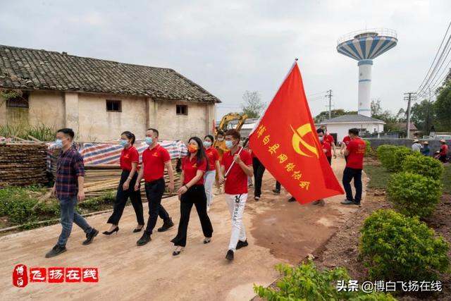 小鸽子大市场！振兴乡村大产业