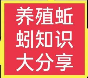 室内蚯蚓养殖(蚯蚓的销路在哪里？如何加工？一文全说清(附带养殖方法))