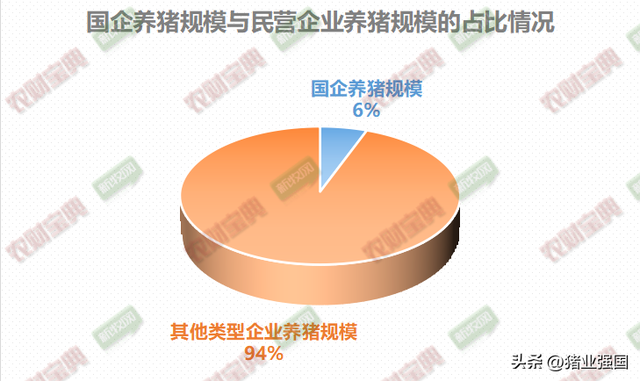 一文读懂猪业国家队！17家国企养猪规划产能超3700万头！