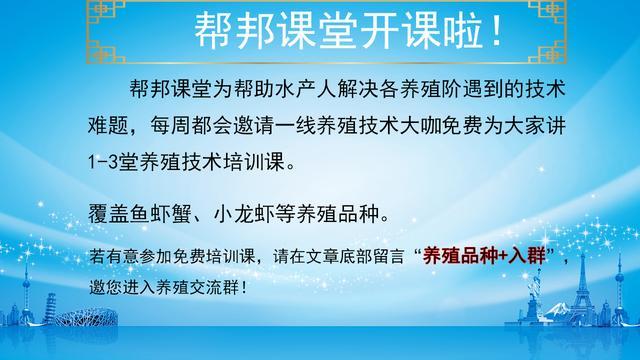 2019年鳊鱼精养技术要点