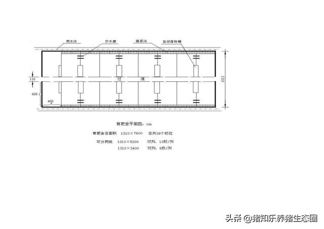 猪舍、猪场的平面图；刨面图及100头母猪的栏位计算参考