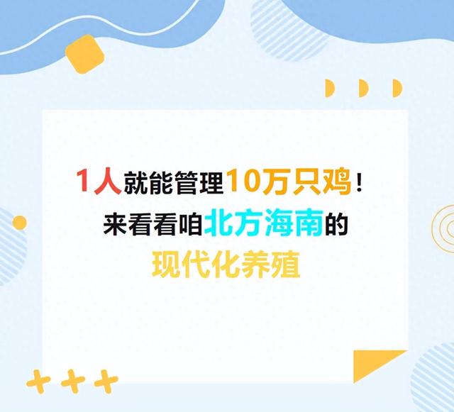 1个人就能管理10万只鸡！来看看咱北方海南的现代化养殖