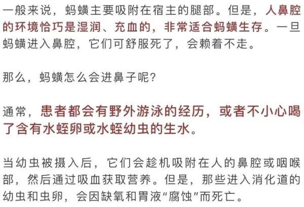 头皮发麻！3岁娃鼻子里竟有条蠕动的蚂蟥，足足4厘米长