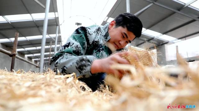 真牛！他靠养牛走上了“致富路”