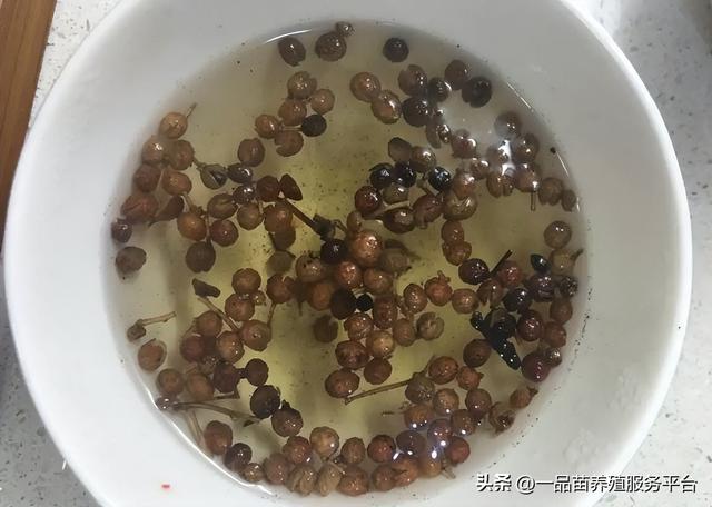 鸡舍苍蝇蚊子多，用这个方法喷一次管2个月，干净卫生还无毒