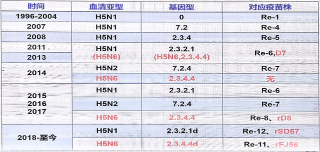 产能持续过剩！今年肉鸭出栏或达41亿羽，养鸭养鹅还能否盈利？