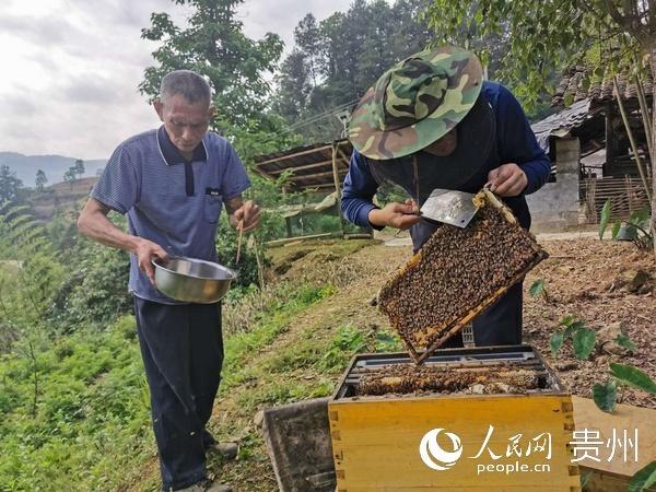 遵义税务人：携手同攻坚 共圆致富梦