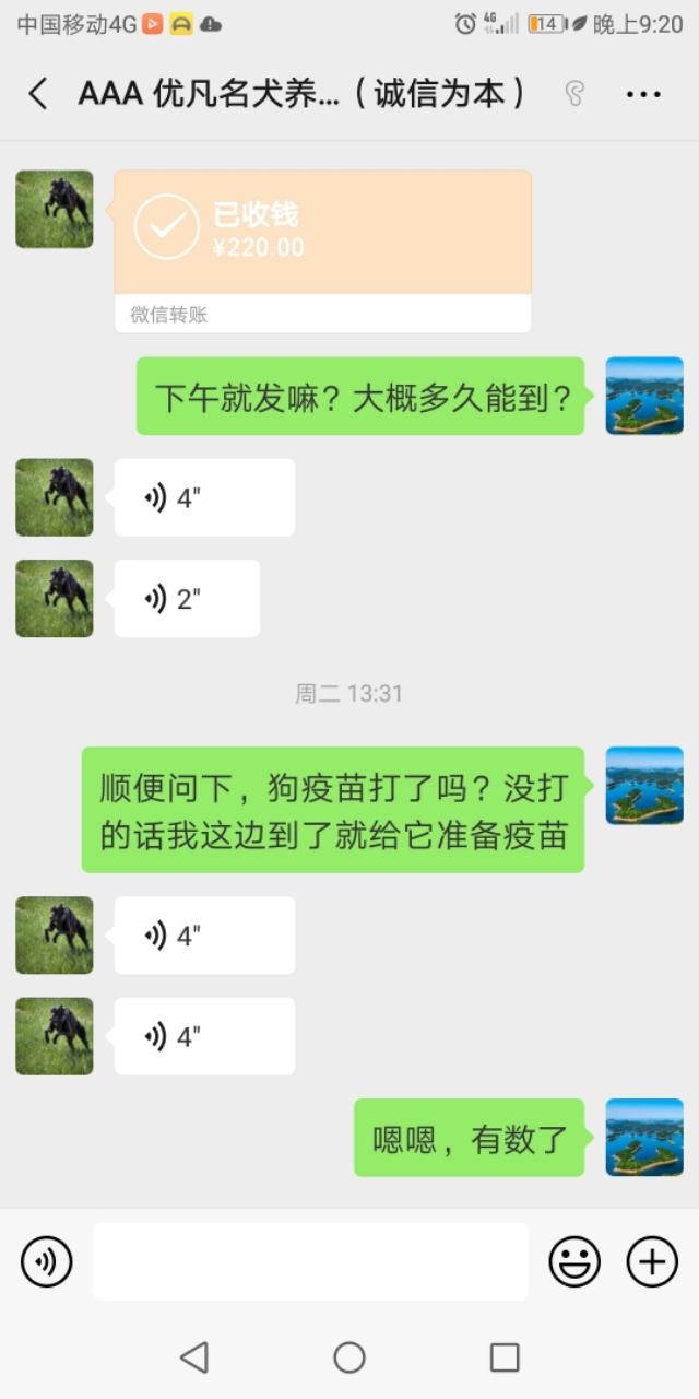 头条的宠物狗广告让我知道了什么叫诚信为本