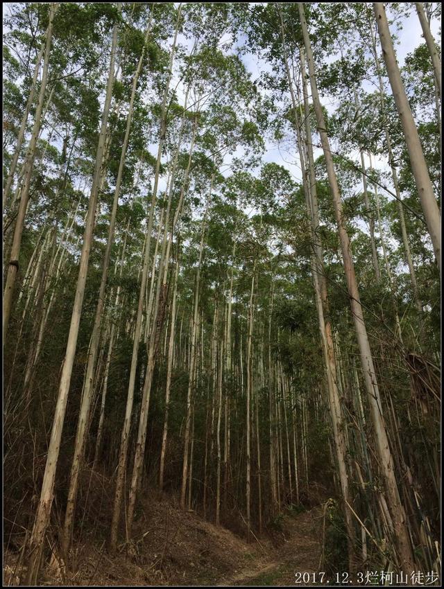 走过山岭，走过岁月，走过我自己