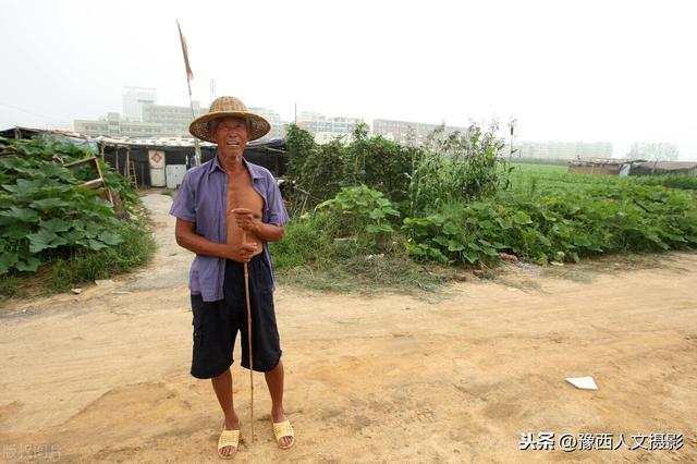 蝎子养殖致富神话是炒起来的？没错，边炒蝎子做礼盒边搞培训