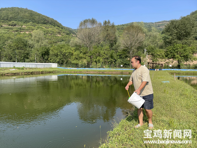 “虾兵蟹将”腾起致富浪 宝鸡金台区特色养殖助力乡村振兴