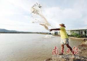 珠海 海水养殖基地(金湾成全国最大黄立鱼连片标准化养殖基地，其销量占全国八成)