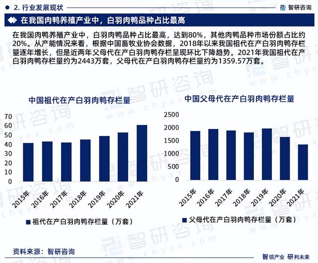 智研咨询发布：中国肉鸭养殖行业市场研究及发展趋势预测报告