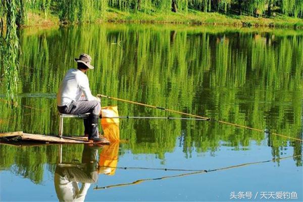 罗非这样钓就对了，试试这几个绝招，夏季使用，渔获猛增没难度