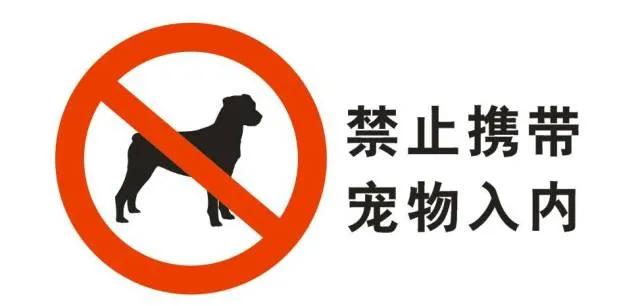 @江北新区养犬人，这里有你想知道的……