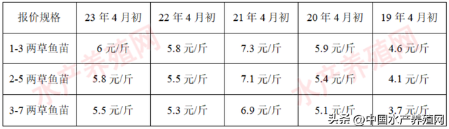 鱼料最高降200元！广东草鱼苗涨价！3斤起草鱼好卖，小草鱼很难卖