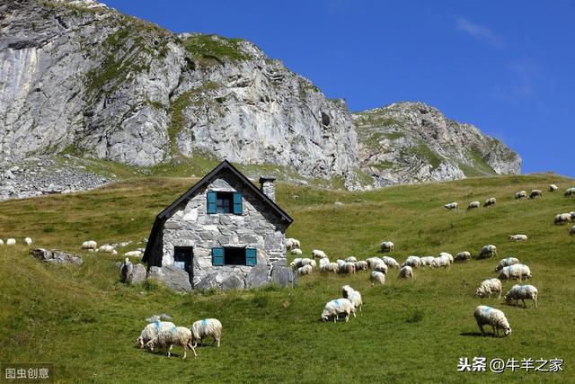 羊养殖场的羊圈建设和管理技术