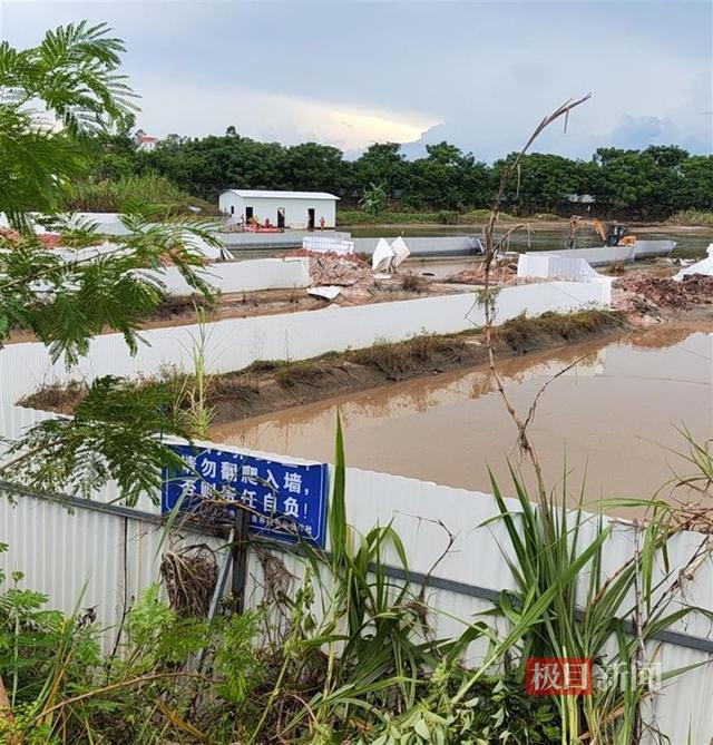 广东茂名数十条鳄鱼逃离养殖场：已抓回44条，抓捕工作进入收尾阶段