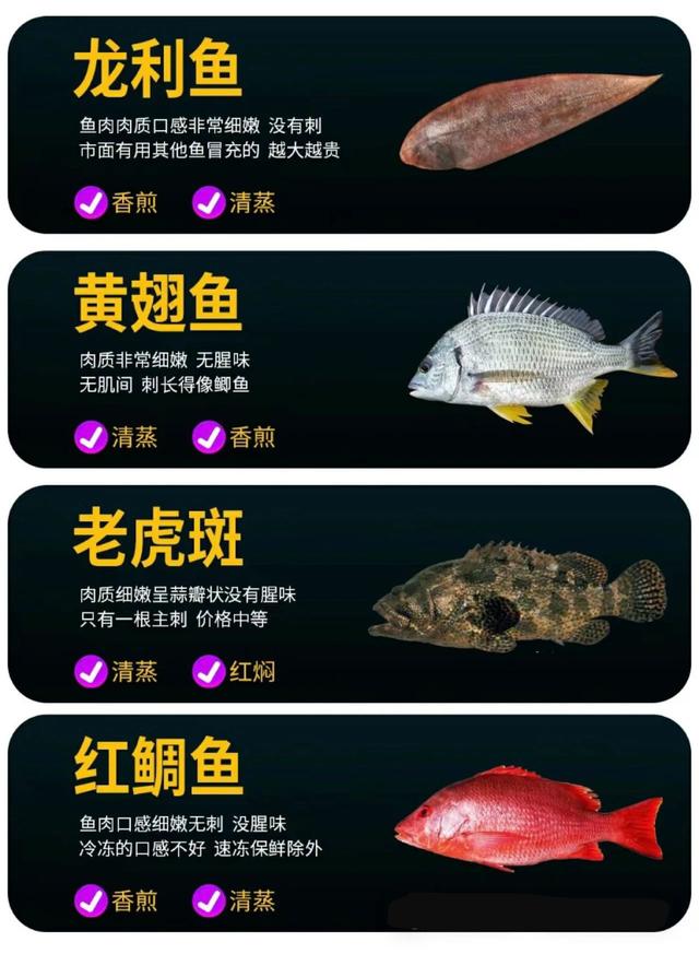 20种常见海鱼种类及做法