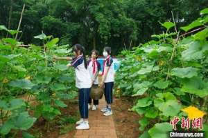 江西基围虾养殖基地(江西新余“小荷工程”护“小荷”成长：助力乡村教育振兴发展)