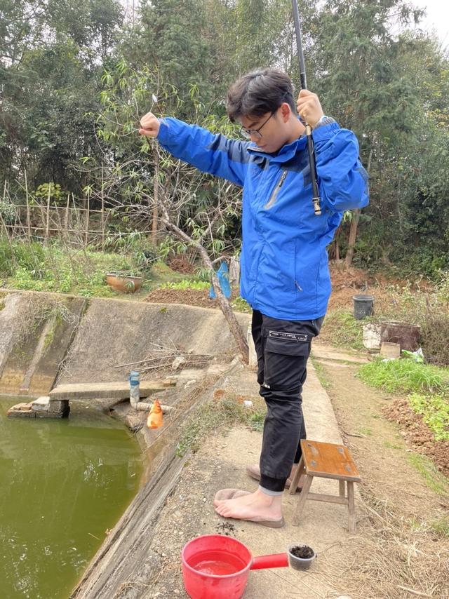 红色荷包鲤开启了爆护的大门，青草不甘落后前来报道