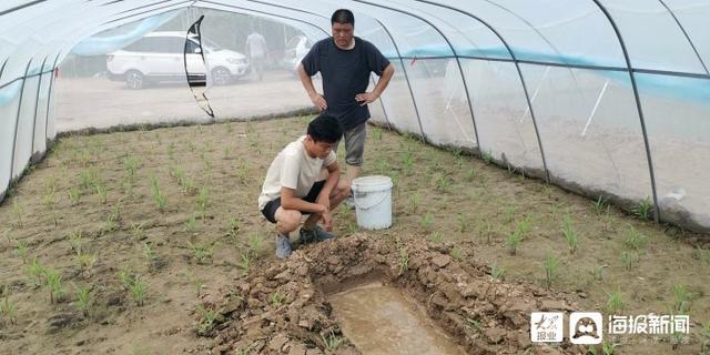 垦利区董集镇刘王村村民们一起走向“飞蝗”腾达的致富路