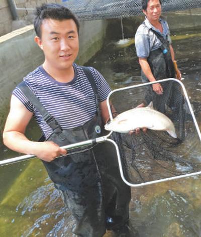 留学归来钻研土著鱼养殖，姜雨杰带动大理山村脱贫