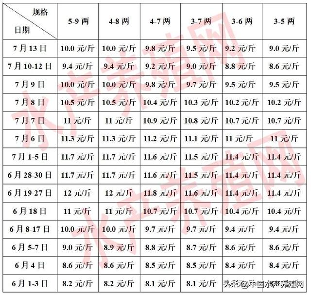 有牛蛙养殖大户5天内少卖千万元！价格比去年高，蛙农赚钱却少了