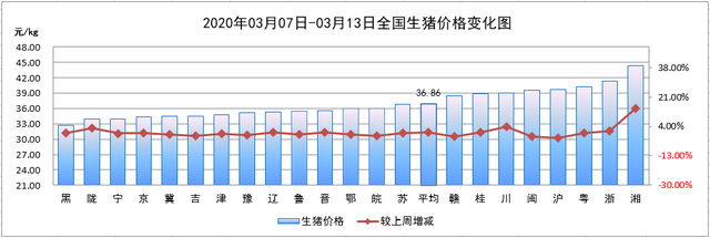 2020年行情可期！养商品猪把握这3个原则，离成功收益还远吗？