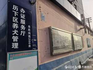 济南大型犬养殖基地(济南：狗狗挂牌扎堆，高峰期排队三四个小时)