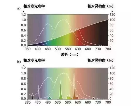 养鸡用什么灯比较好