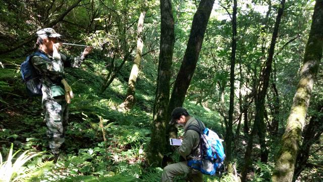 天空地一体化，十万只“眼睛”守护生物多样性