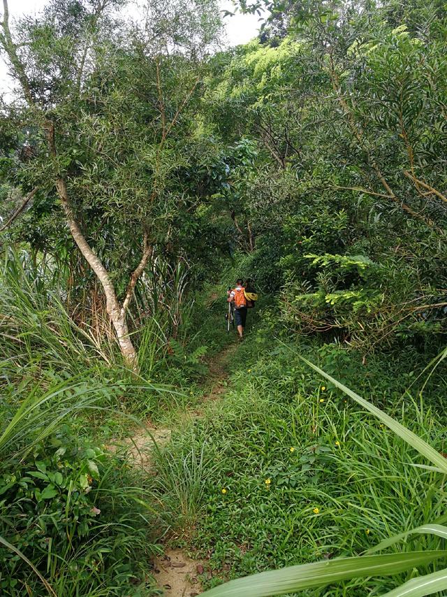 翻山越野来打龟，厉兵秣马换得空空而望