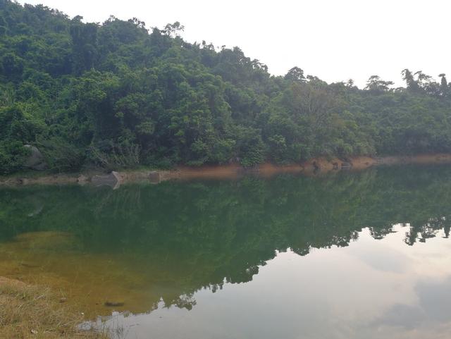 翻山越野来打龟，厉兵秣马换得空空而望