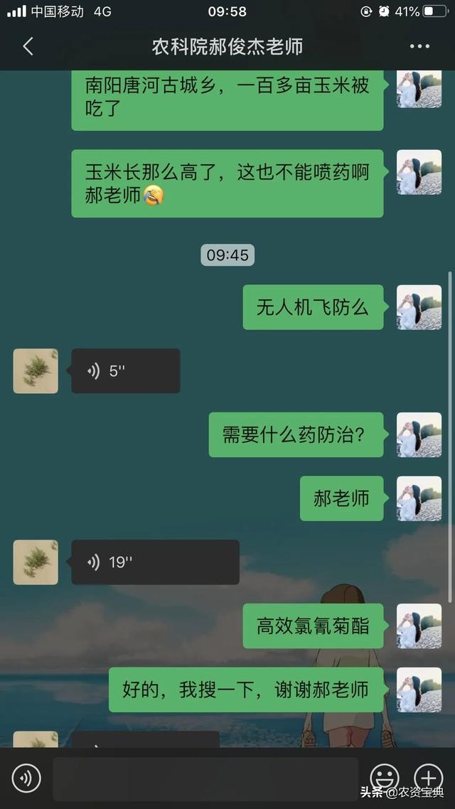 揪心！“农户百亩玉米两天被虫吃成光秆”！专家提醒：抓紧防治