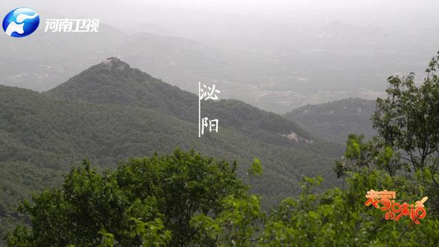 中国“第一牛”竟然在这儿的深山里