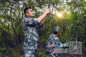 天牛幼虫养殖(养虫开出致富花)