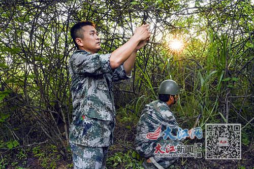 养虫开出致富花