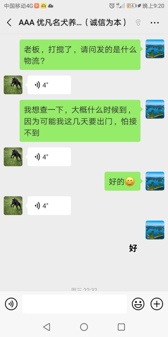 头条的宠物狗广告让我知道了什么叫诚信为本